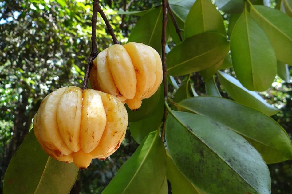 Mantenersi in forma in modo naturale